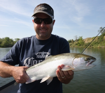 Feather River Steelhead